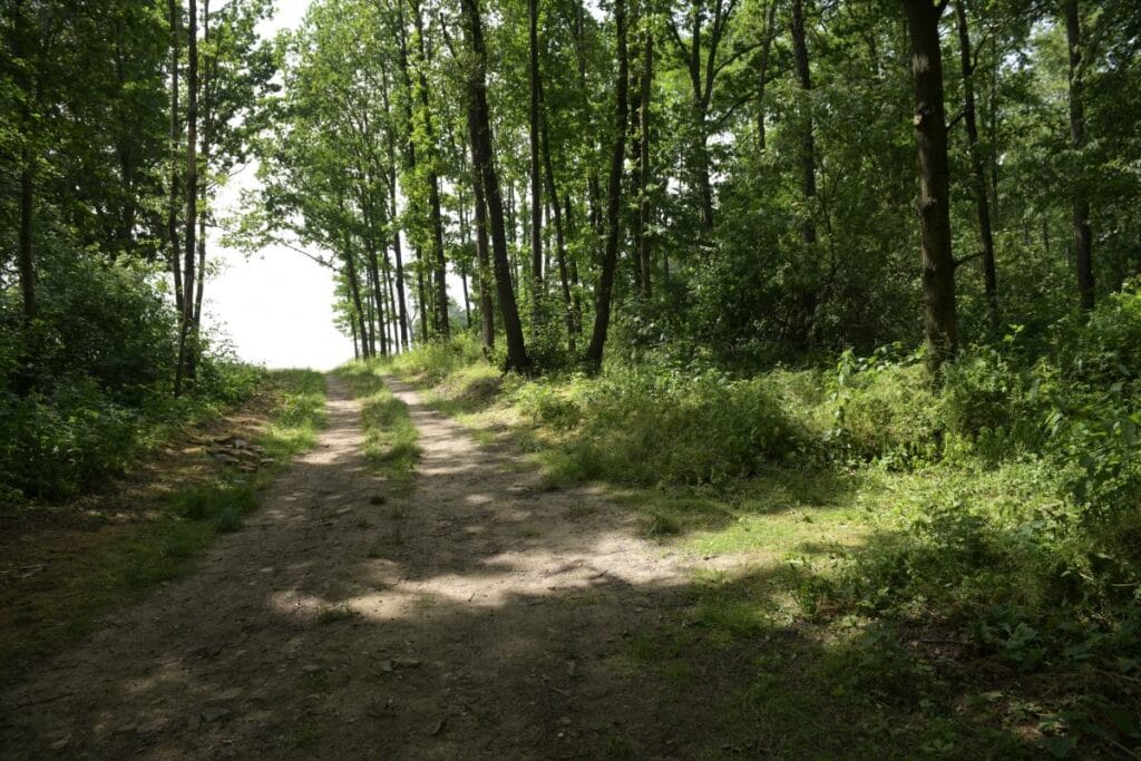 10 yasindaki kristina nin oldurulmesi polonya yi soke etti kiz tacizcisini taniyordu 8083