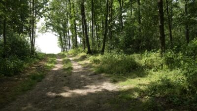 10 yaşındaki kristina'nın öldürülmesi polonya'yı şoke etti. Kız tacizcisini tanıyordu. 2 10 yasindaki kristina nin oldurulmesi polonya yi soke etti kiz tacizcisini taniyordu 8083