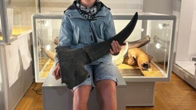 11 yasindaki cocuk visla nehri nde tukenmis col bizonunun kafatasini buldu 5930