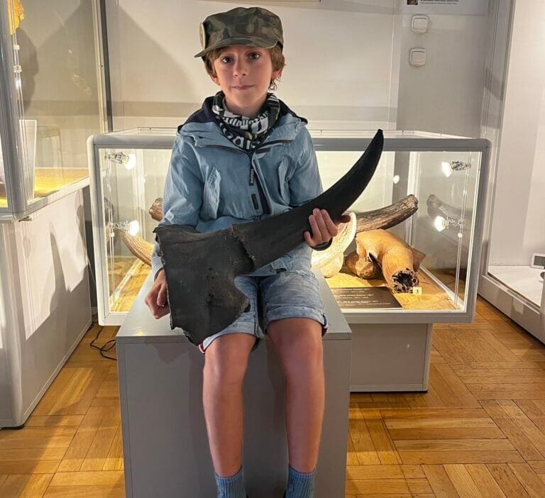 11 yaşındaki çocuk vısla nehri'nde tükenmiş çöl bizonunun kafatasını buldu 1 11 yasindaki cocuk visla nehri nde tukenmis col bizonunun kafatasini buldu 5930