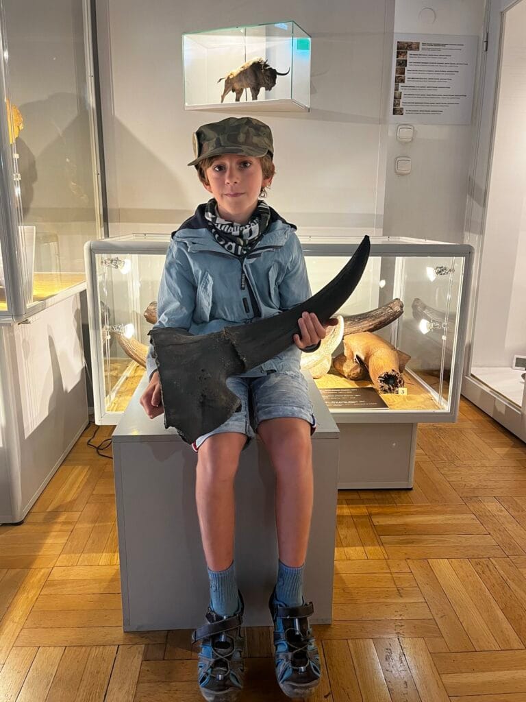 11 yasindaki cocuk visla nehri nde tukenmis col bizonunun kafatasini buldu 5930