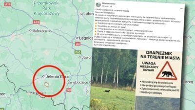 Asagi silezya da alisilmadik mesaj ozellikle hava karardiktan sonra yurumekten kacinin 7909