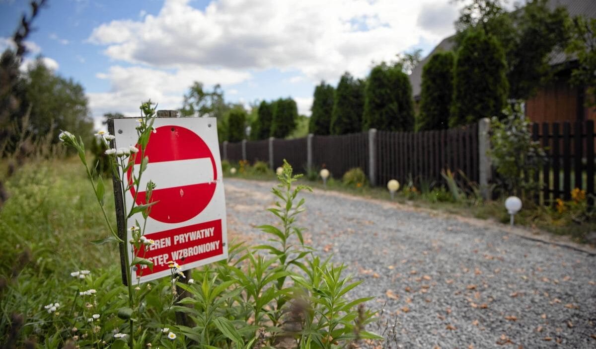 Avin trajik finali yeni bir hipotez hakkinda gercek sanik oglunu koruyor olabilir 6727