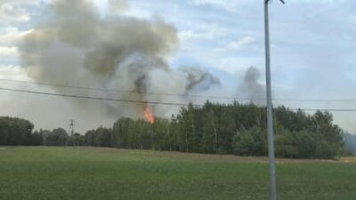 Bir dizi orman ve corak arazi yangini duzinelerce itfaiye ekibi is basinda 7927