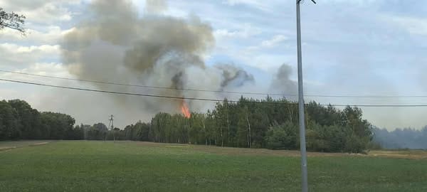 Bir dizi orman ve çorak arazi yangını. Düzinelerce itfaiye ekibi iş başında 1 Bir dizi orman ve corak arazi yangini duzinelerce itfaiye ekibi is basinda 7927