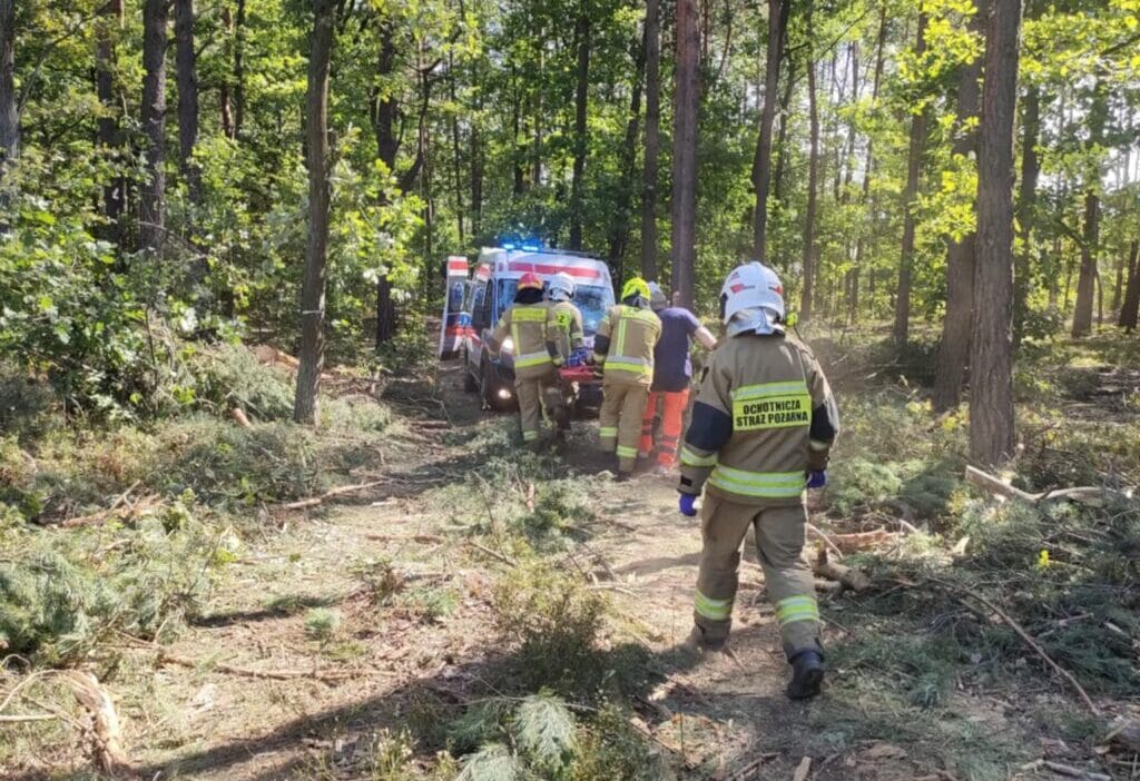 Bir ormani temizlerken bir agac bir isciyi ezdi 6358