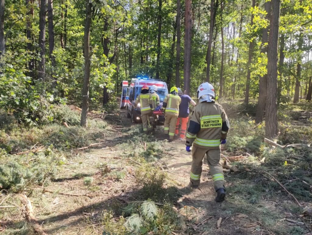 bir ormani temizlerken bir agac bir isciyi ezdi 6358