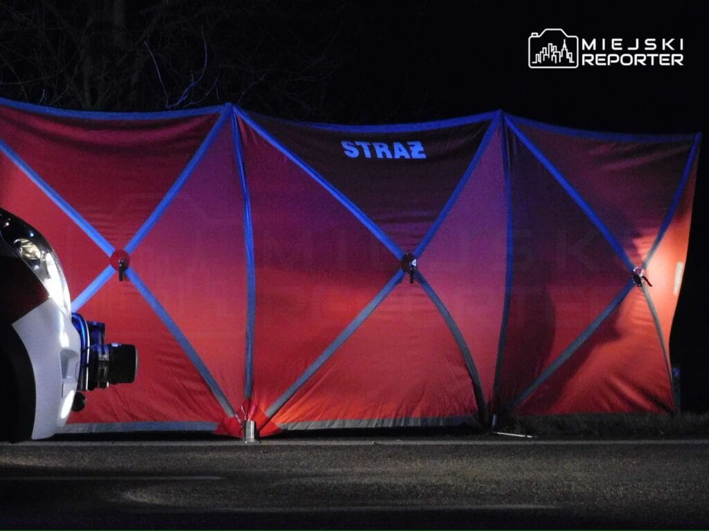 bmw bir geyikle carpisti 19 yasindaki surucu hayatini kaybetti uc kucuk yolcu hastaneye kaldirildi 8153