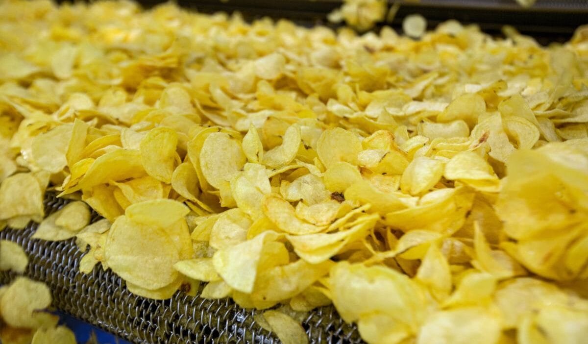 Bu sehir sakinlerini sasirtti cip yasagi getirdiler alisilmadik bir aciklama 6883