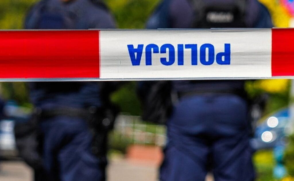 dzik avi sirasinda kisi ates edildi olay sartlari tam hala belirsiz 5052