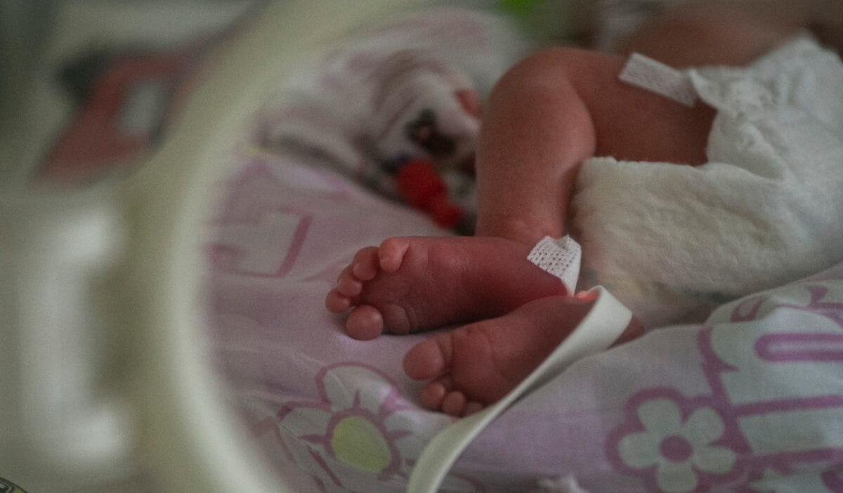 Gorz w genc anne bebek uretti ve dolsalliginda sakladi yeni bilgiler 4223