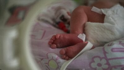 Gorz w genc anne bebek uretti ve dolsalliginda sakladi yeni bilgiler 4223