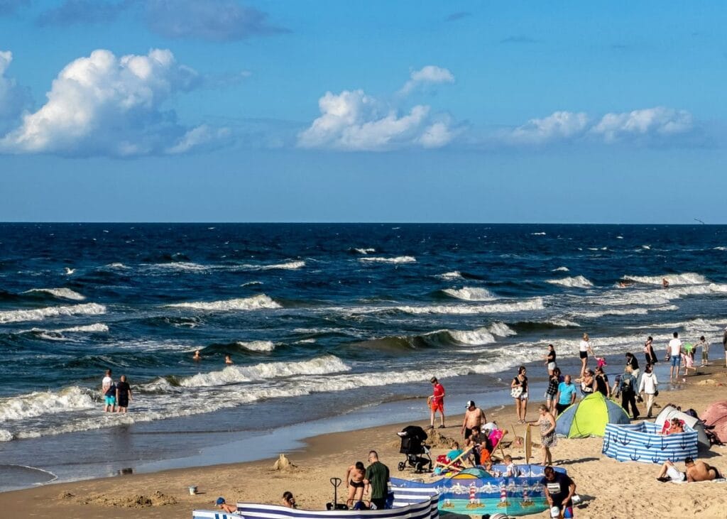hesabi gorduler ve saskina donduler sarbinowo daki aksam yemekleri bu kadara mal olmustu cesnileri bile eklemislerdi 7960