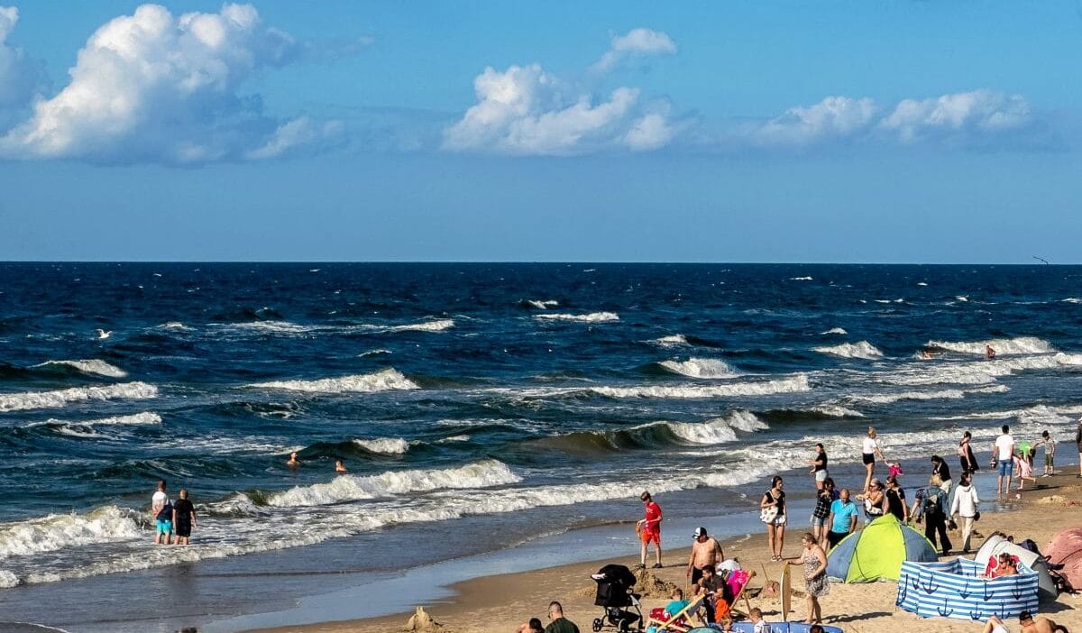 Hesabi gorduler ve saskina donduler sarbinowo daki aksam yemekleri bu kadara mal olmustu cesnileri bile eklemislerdi 7960
