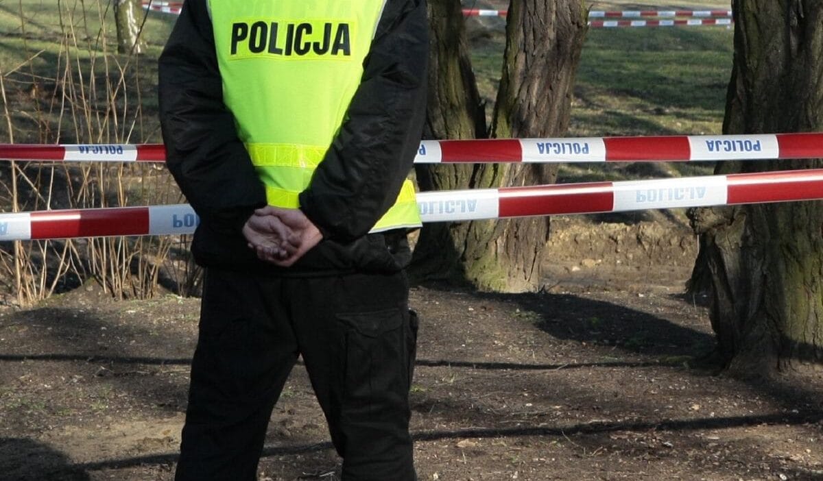 Oraya gerek dikenli olarak yanlışlıkla adamı öldürmeye çalıştı: myśliwy uyarıldı 1 Oraya gerek dikenli olarak yanlislikla adami oldurmeye calisti my liwy uyarildi 4926