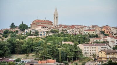 Polaklara saldiri hirvat olumu sonrasi ev uzerinde polaklari soktur yazisi 3869