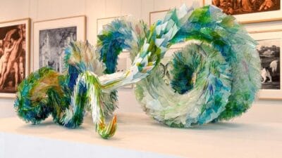 Seffaf lis kediler ve kuslar alternatywach ta seffaf menzer i kesfedin 5068