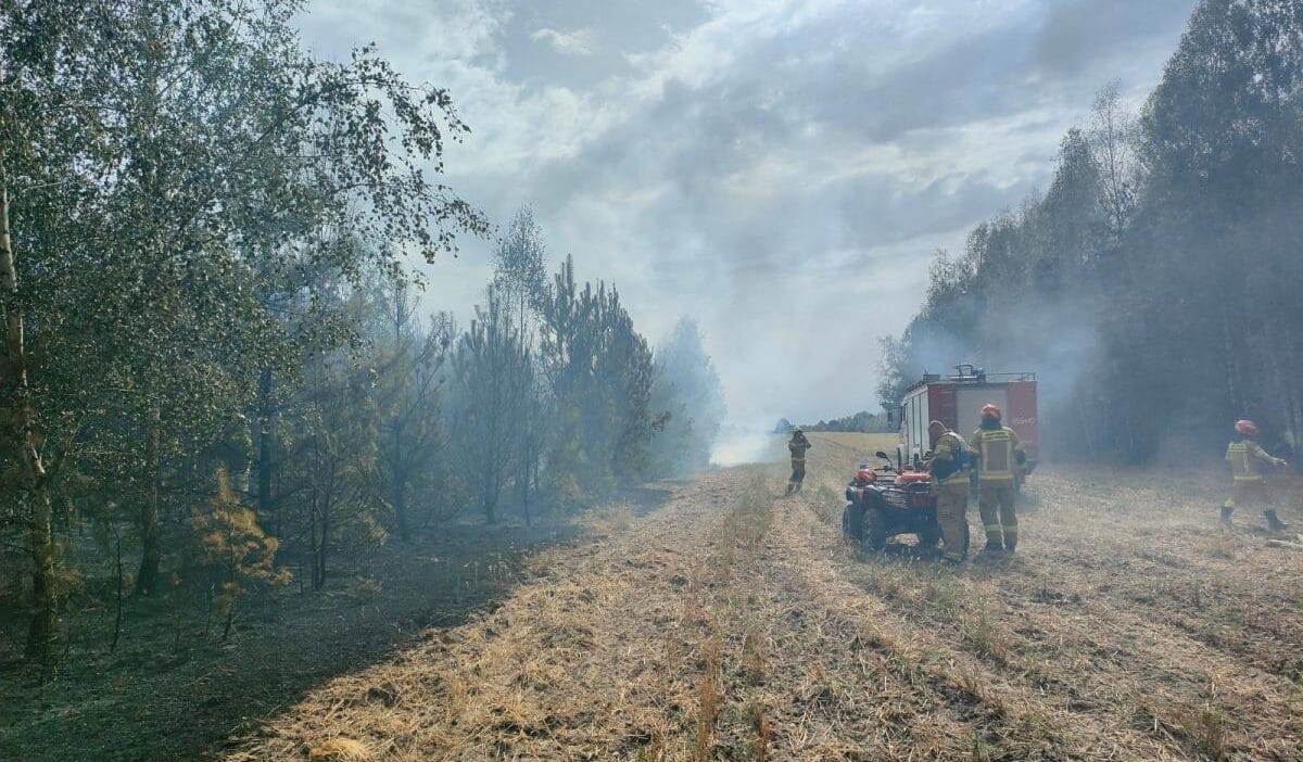 Sułoszyn'de büyük yangın. Birkaç hektarlık ormanlık alan ve binalar yanıyor. "eylem engellendi". 1 Su oszyn de buyuk yangin birkac hektarlik ormanlik alan ve binalar yaniyor eylem engellendi 7771