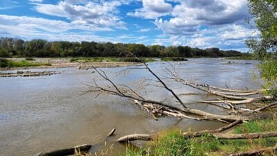 Turistler mahsur kaldi rmf fm vistula nehri uzerindeki bir yolcu gemisinden tahliye 6682