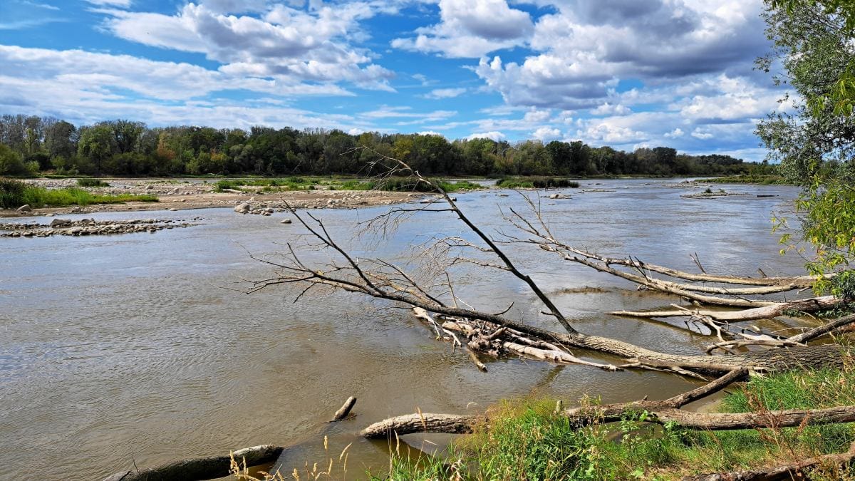 Turistler mahsur kaldi rmf fm vistula nehri uzerindeki bir yolcu gemisinden tahliye 6682