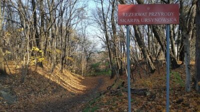 Ursynów kayalıkları eylül ayından itibaren yürüyüşçülere kapalı 3 Ursyn w kayaliklari eylul ayindan itibaren yuruyusculere kapali 7239