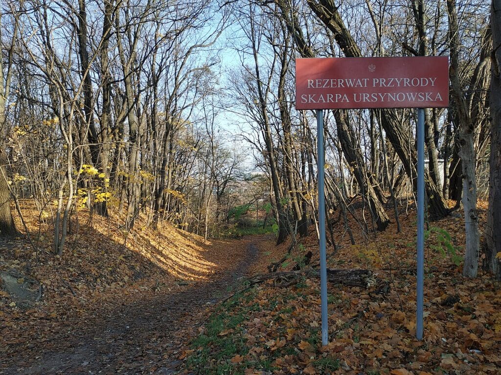 ursyn w kayaliklari eylul ayindan itibaren yuruyusculere kapali 7239