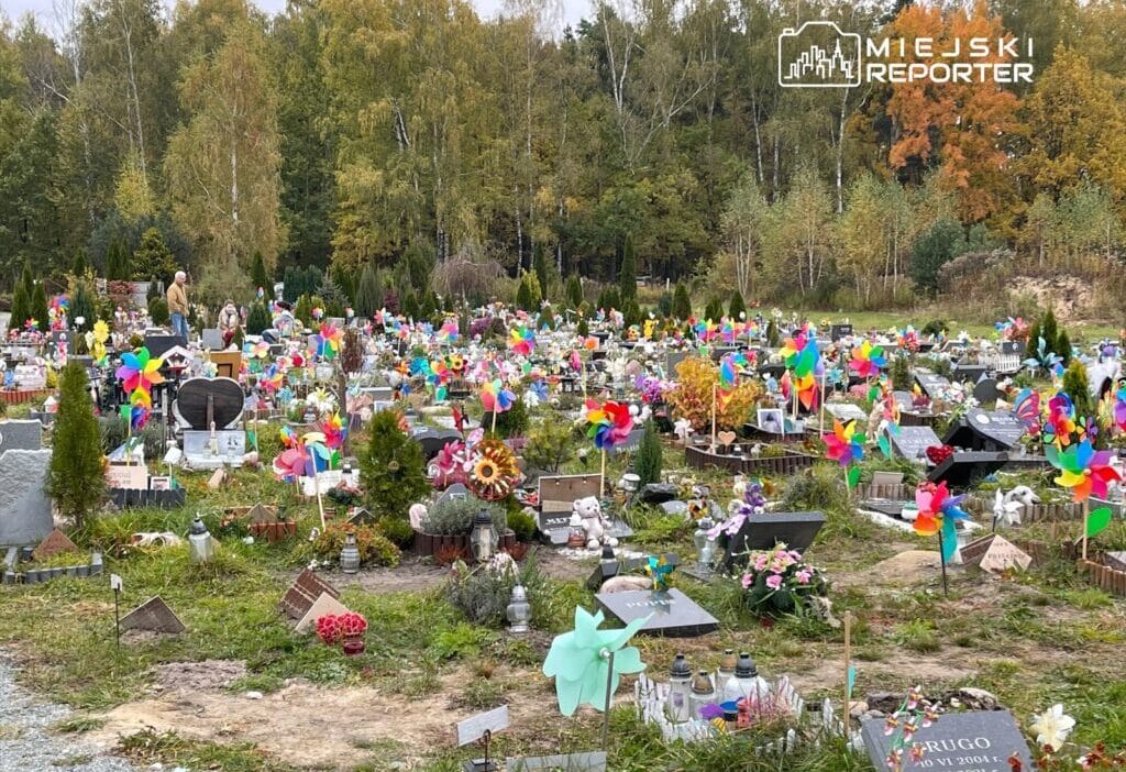 Wilanow'da hayvanlar için butik bir veda evi açılıyor. 'lumida' gerçekten ne sunuyor? 1 Wilanow da hayvanlar icin butik bir veda evi aciliyor lumida gercekten ne sunuyor 8065