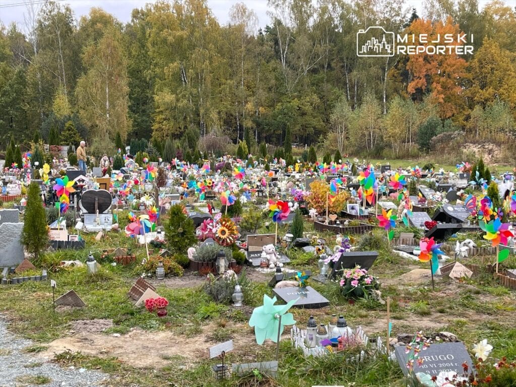 wilanow da hayvanlar icin butik bir veda evi aciliyor lumida gercekten ne sunuyor 8065