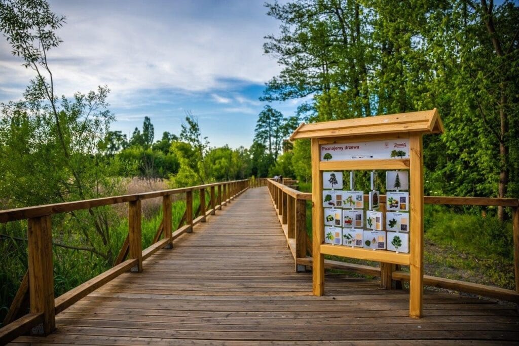 Zyrardow daki yaya koprusu manzarasiyla etkiliyor ve cennet bir plajda son buluyor 8059