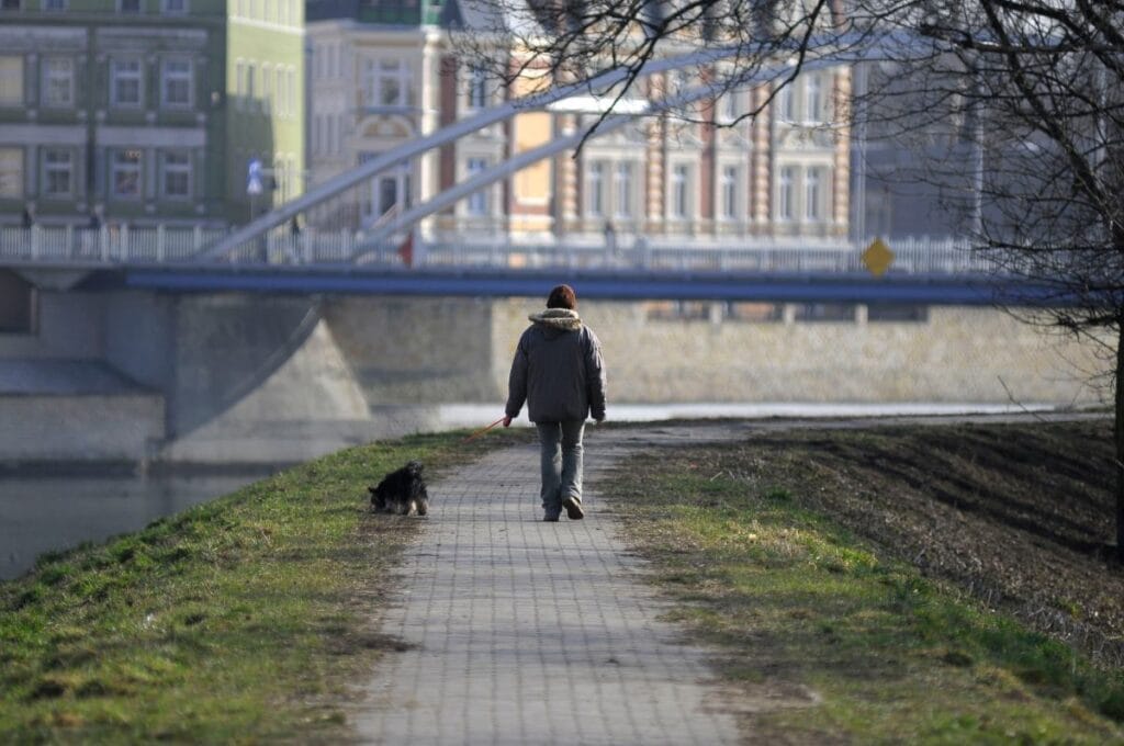 10 000 adim efsanesi curutuldu arastirmacilar calismalarla desteklenen yeni kilavuzlar belirledi 9308