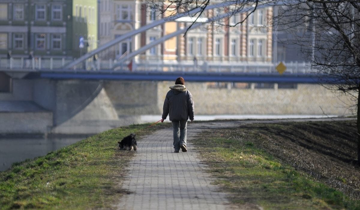 10. 000 adım efsanesi çürütüldü. Araştırmacılar, çalışmalarla desteklenen yeni kılavuzlar belirledi 1 10 000 adim efsanesi curutuldu arastirmacilar calismalarla desteklenen yeni kilavuzlar belirledi 9308
