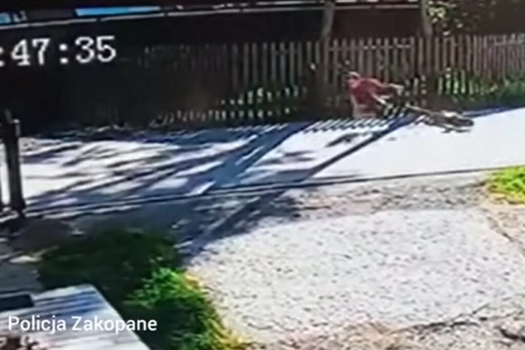 11 yasindaki bir cocuk elektrikli scooter dan duserek asfalt uzerinde kaymaya basladi polis ailelere cagrida bulundu 12324