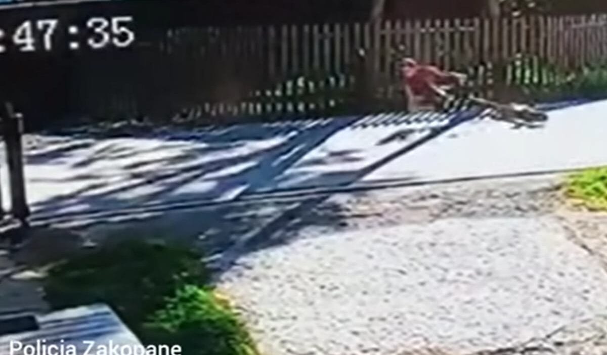 11 yasindaki bir cocuk elektrikli scooter dan duserek asfalt uzerinde kaymaya basladi polis ailelere cagrida bulundu 12324