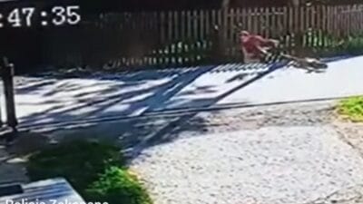 11 yasindaki bir cocuk elektrikli scooter dan duserek asfalt uzerinde kaymaya basladi polis ailelere cagrida bulundu 12324