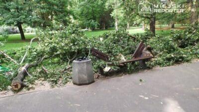2018 de gerceklesen yuksek profilli bir davada karar bir parkta 6 aylik bebegi olan bir annenin uzerine dal dustu kiz cocugu hayatta kalamadi 12772