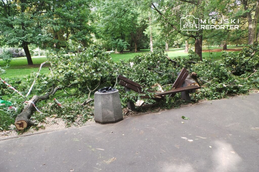 2018'in yüksek profilli bir davasında karar. Bir anne ve 6 aylık bebeği parkta bir dala takılarak yere yığılıyor. Küçük kız öldü. 1 2018 in yuksek profilli bir davasinda karar bir anne ve 6 aylik bebegi parkta bir dala takilarak yere yigiliyor kucuk kiz oldu 12757