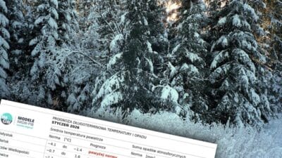 2026 kışı tipik olmayacak. İşte imgw tahmini. Ocak ayında neler olacağına bir göz atın 3 2026 kisi tipik olmayacak i ste imgw tahmini ocak ayinda neler olacagina bir goz atin 11061