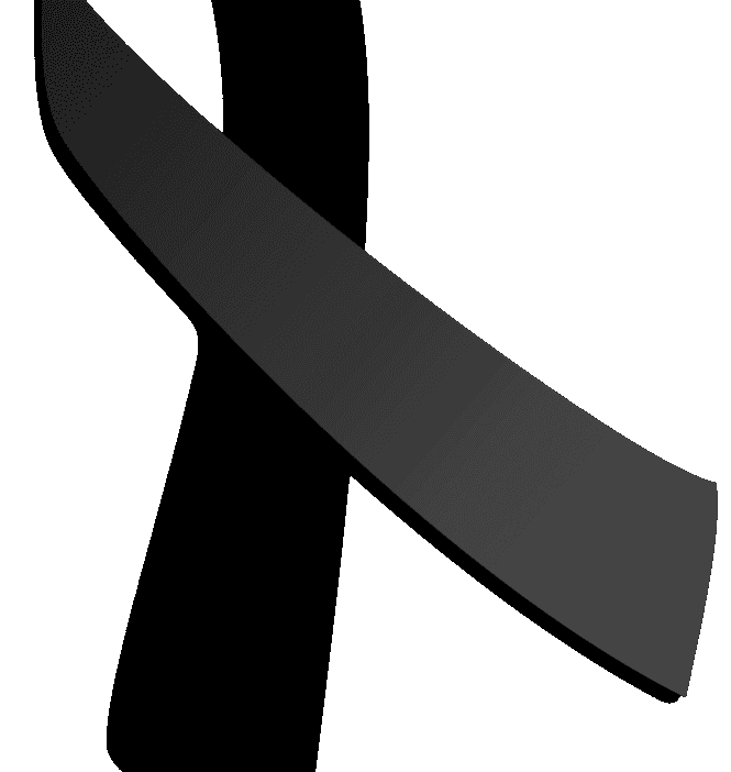 Abd de egitim sirasinda iki polonyali asker olduruldu 12102