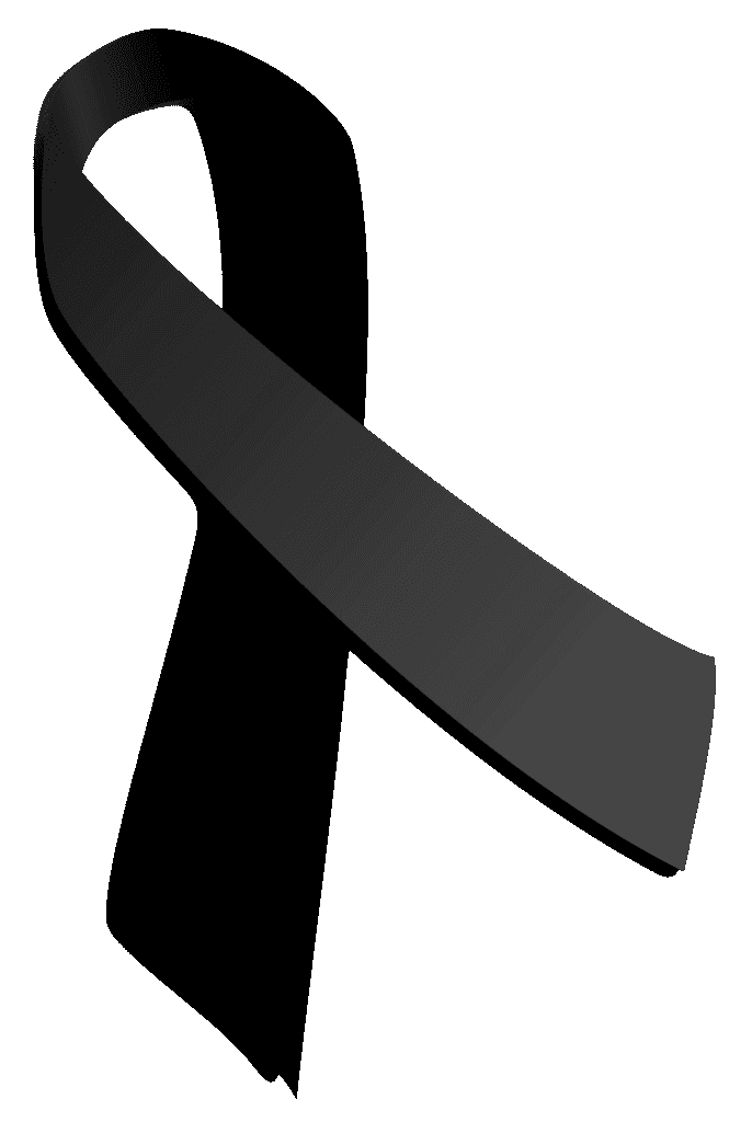 abd de egitim sirasinda iki polonyali asker olduruldu 12102