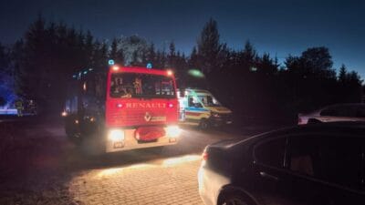 Agac kesimi sirasinda yasanan trajedi bir dalin ezdigi 5 yasindaki cocuk aldigi yaralar sonucu hayatini kaybetti 12883