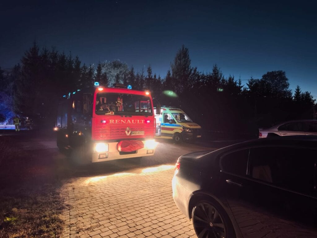 agac kesimi sirasinda yasanan trajedi bir dalin ezdigi 5 yasindaki cocuk aldigi yaralar sonucu hayatini kaybetti 12883