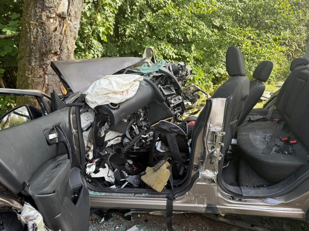 araba agaca carpti aralarinda bir bebegin de bulundugu iki olu 11748