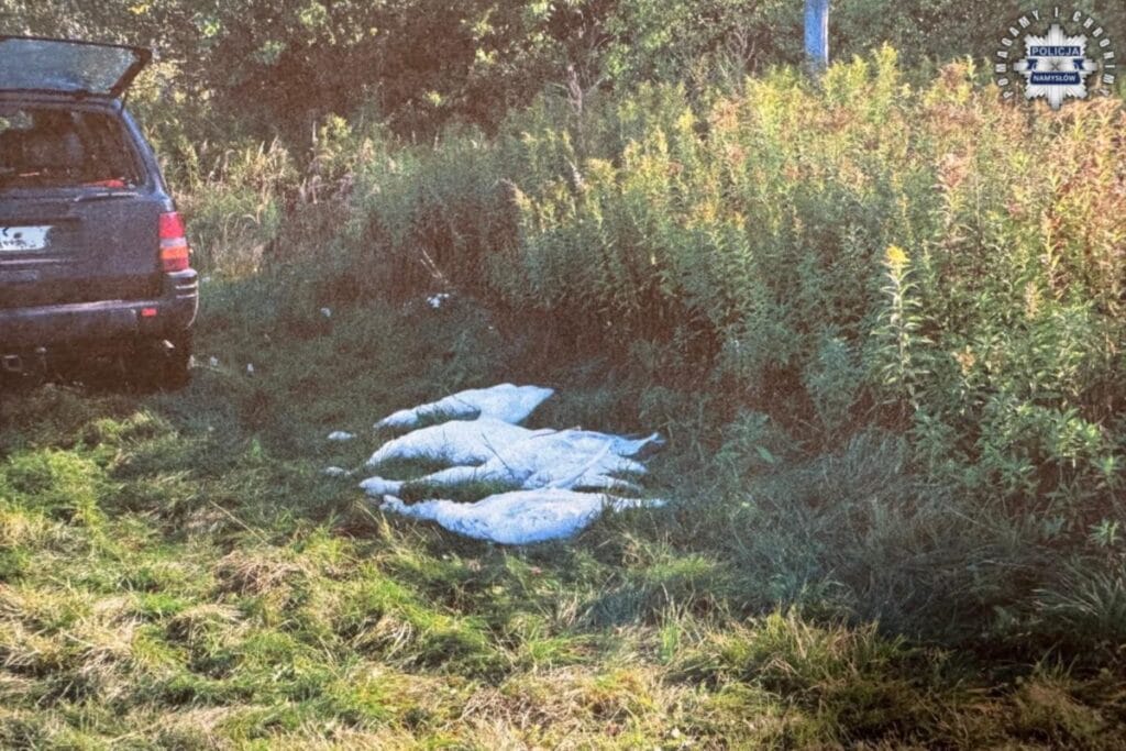 avcilik skandali avcilar koruma altindaki dort kuguyu vurdu kendilerini boyle acikladilar 12631