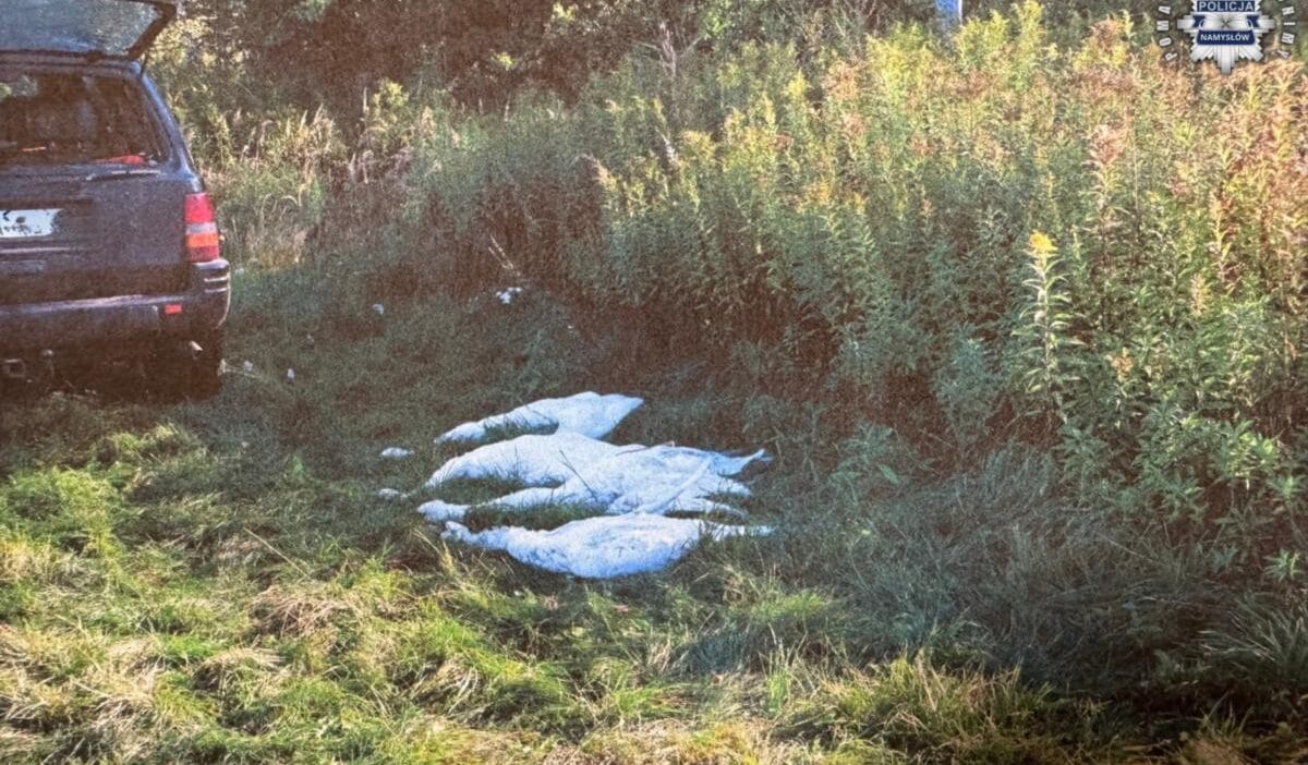 Avcılık skandalı. Avcılar koruma altındaki dört kuğuyu vurdu. Kendilerini böyle açıkladılar 1 Avcilik skandali avcilar koruma altindaki dort kuguyu vurdu kendilerini boyle acikladilar 12631
