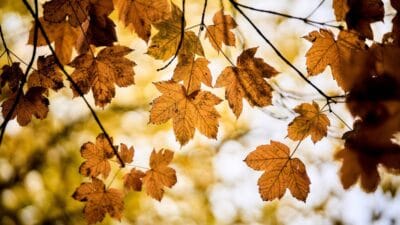 Avrupa uzerinde nadir gorulen bir durum meteoroloji uzmanlari polonya da ne olacagini biliyor 13036