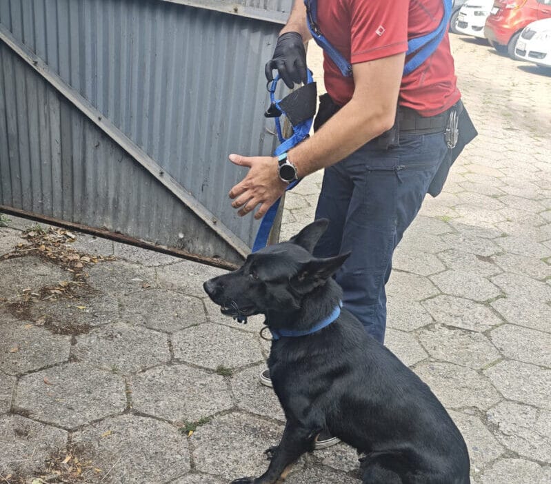 Baba ve oğul önemli miktarda uyuşturucu bulundurmaktan tutuklandı 1 Baba ve ogul onemli miktarda uyusturucu bulundurmaktan tutuklandi 8996