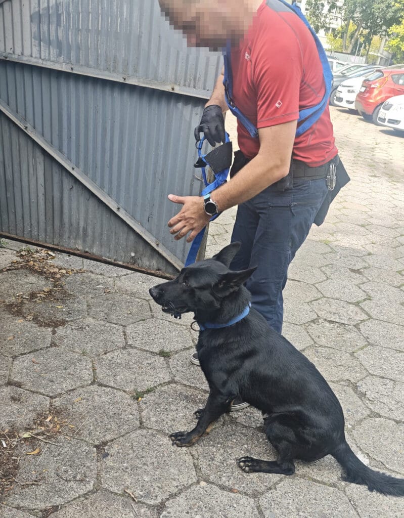 baba ve ogul onemli miktarda uyusturucu bulundurmaktan tutuklandi 8996