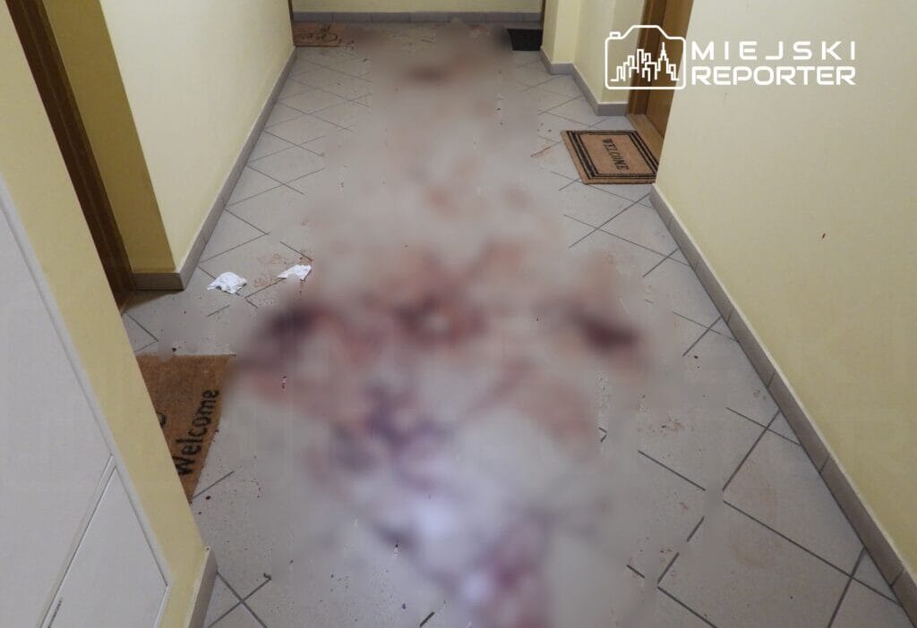 Bialoleka'da cinayete teşebbüs. Bir kişi ağır yaralandı. Kafes kanla doluydu 1 Bialoleka da cinayete tesebbus bir kisi agir yaralandi kafes kanla doluydu 13490