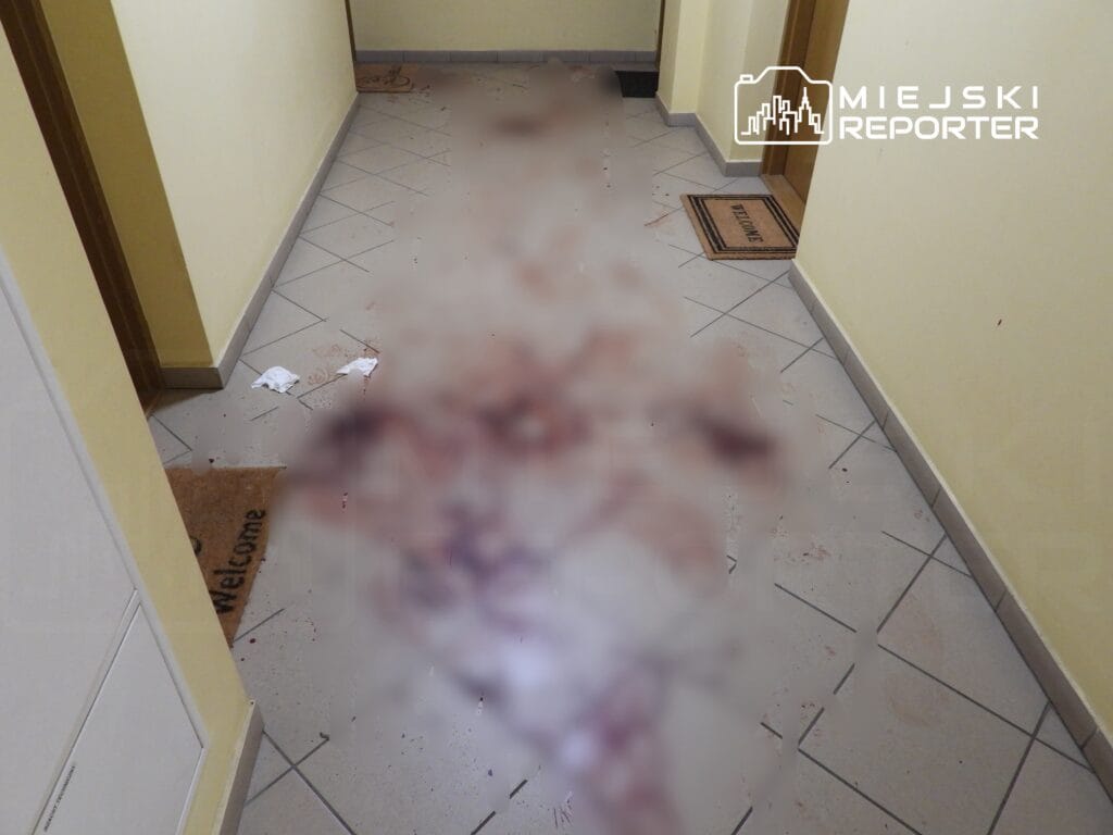 bialoleka da cinayete tesebbus bir kisi agir yaralandi kafes kanla doluydu 13490