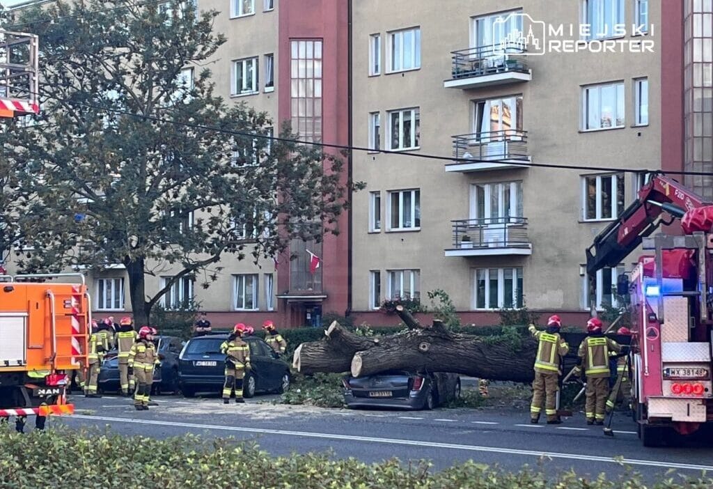 Bir agac tramvay cekisinin ve vagonlarin uzerine devrildi vagonlardan birinde bir anne ve cocuk 11454